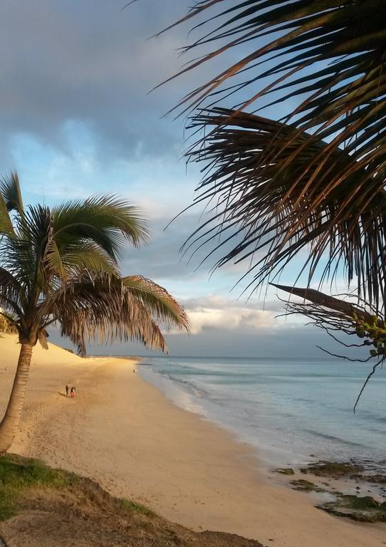 Apartamentos Palm Garden By Livvo Morro Jable  Luaran gambar
